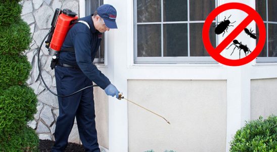 Anamur Kene İlaçlama böcek ilaçlama ve haşere kontrolü — ilaclama-tr.com